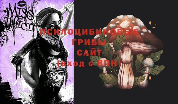 соль ск Абдулино
