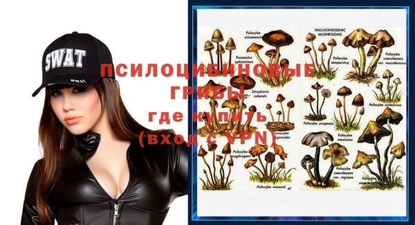 кристаллы Ельня