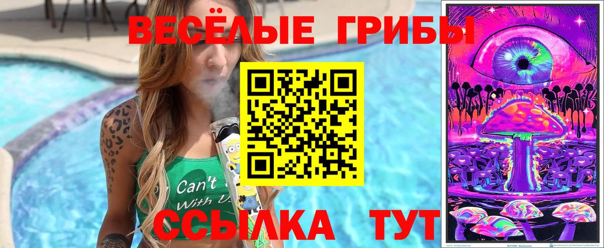 APVP Искитим