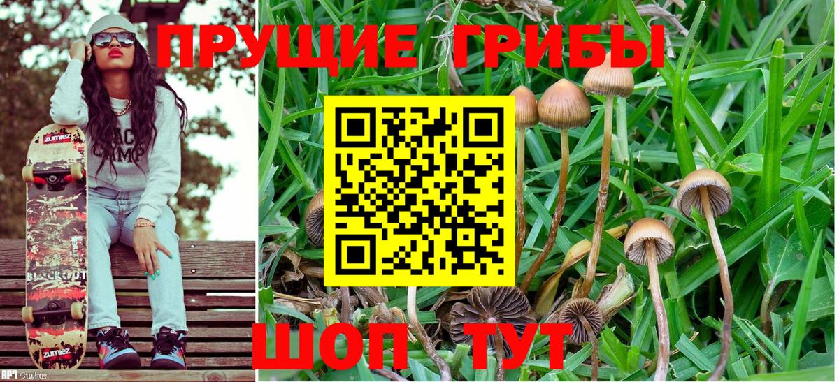 Галлюциногенные грибы Psilocybine cubensis  Вход с VPN  Галлюциногенные грибы Magic Shrooms  Искитим 