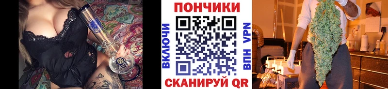 Бошки Шишки планчик  Искитим 